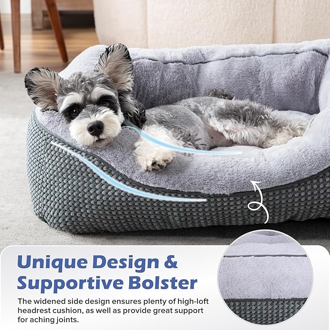 INVENHO Dog Bed for Small Dogs - Image 3