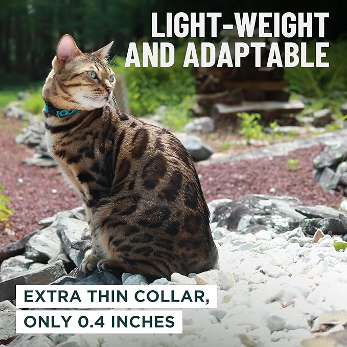 OutdoorBengal Durable Cat Collar Breakaway - Image 6