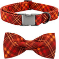 Fall Dog Collar, Pet Collar by BoboRainbow