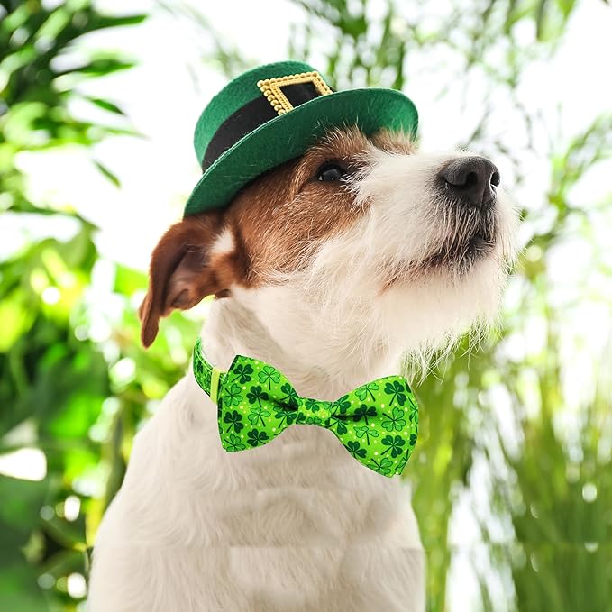 St. Patrick's Day Dog Collar - Image 5