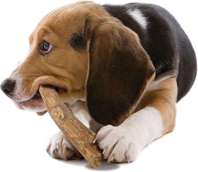 Nylabone Healthy Edibles WILD Natural Dog Chew Treats - Image 11