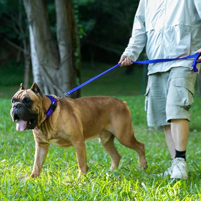 EXCELLENT ELITE SPANKER Reflective Dog Collar Classic Soft Padded Breathable - Image 7
