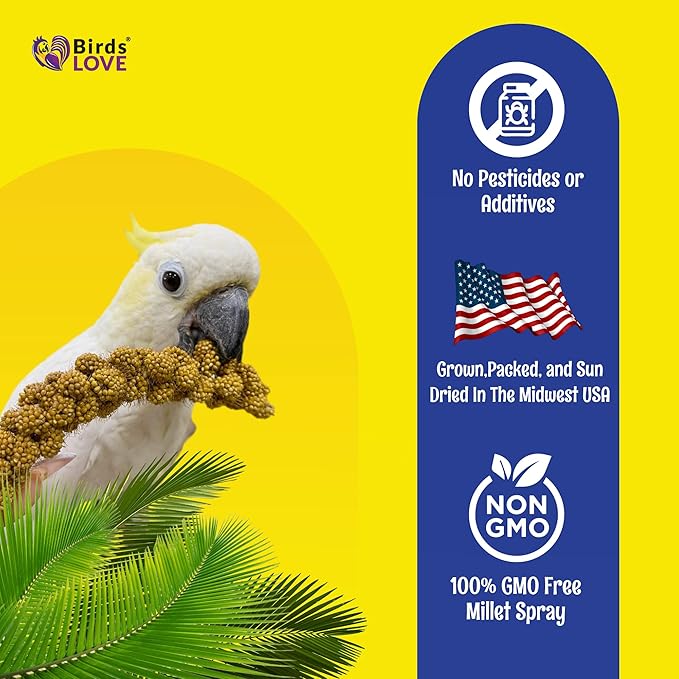 Birds LOVE Economy Special Spray Millet - Image 5