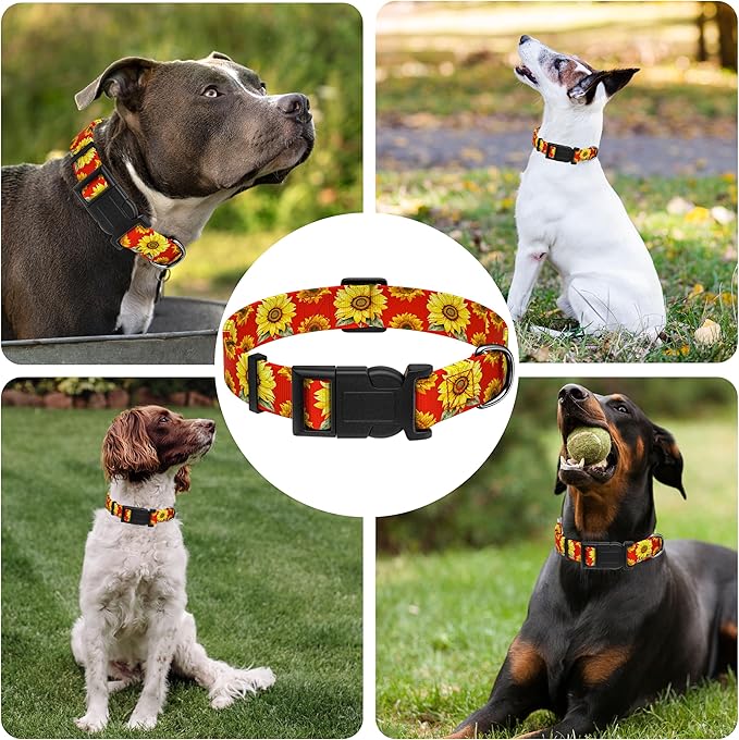 Sunflower Dog Collar, Floral Boys Girls Puppy Collar - Image 6