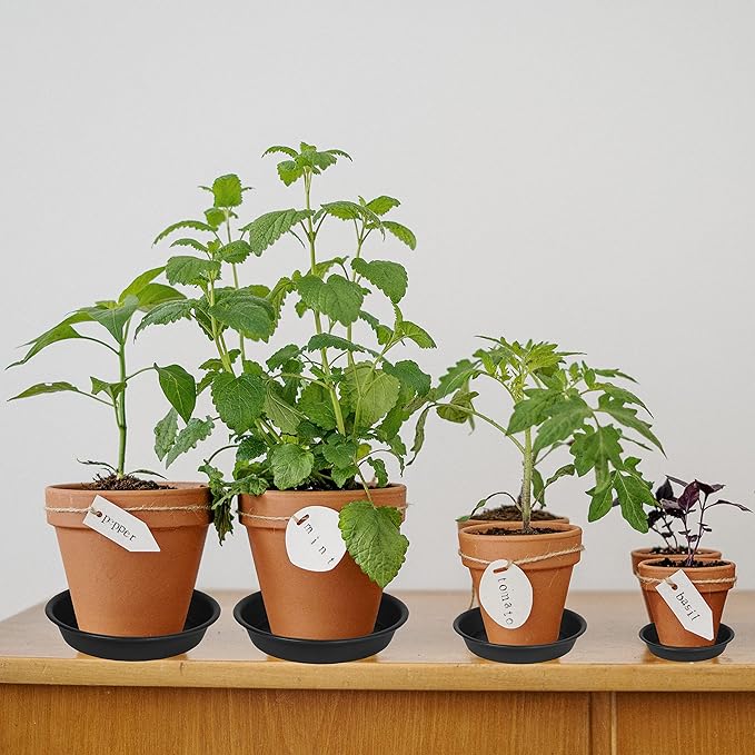 6 Pack 6 inch Plant Saucer Tray, 4 6 8 10 12 15 17 19 inch Plant Saucers - Image 3