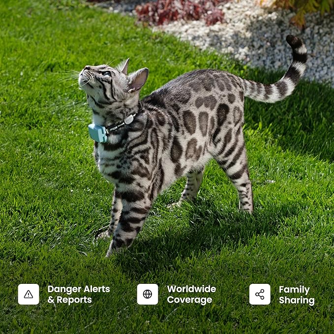 Tractive Smart Cat GPS Tracker - Image 2