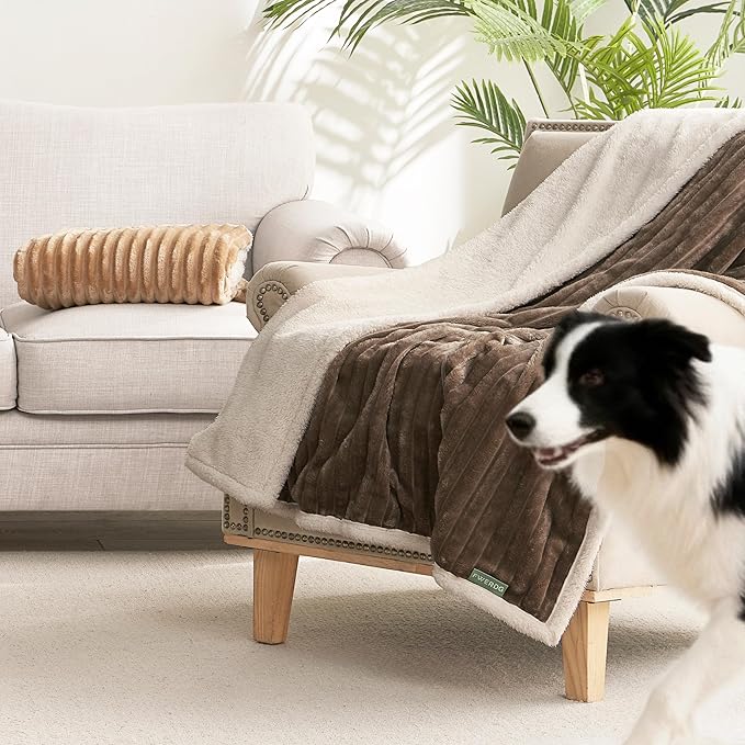 Waterproof Dog Blanket for Large Dogs - Image 2