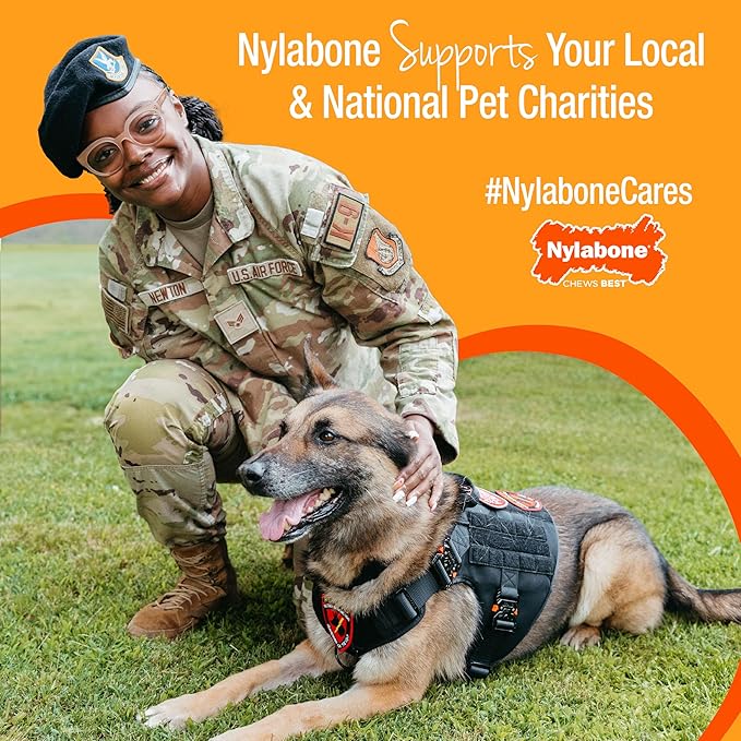Nylabone Ergonomic Hold Wishbone Power Chew Toy - Image 9