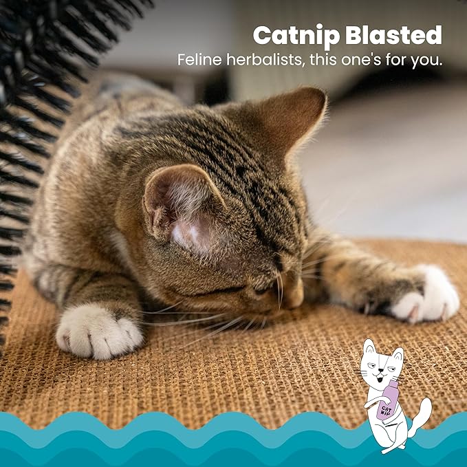 Catstages Scratch & Groom Cat Scratcher - Image 3