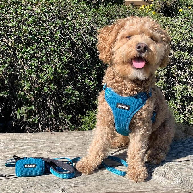 Best Pet Supplies Voyager Reflective Dog Leash or Collar - Image 5