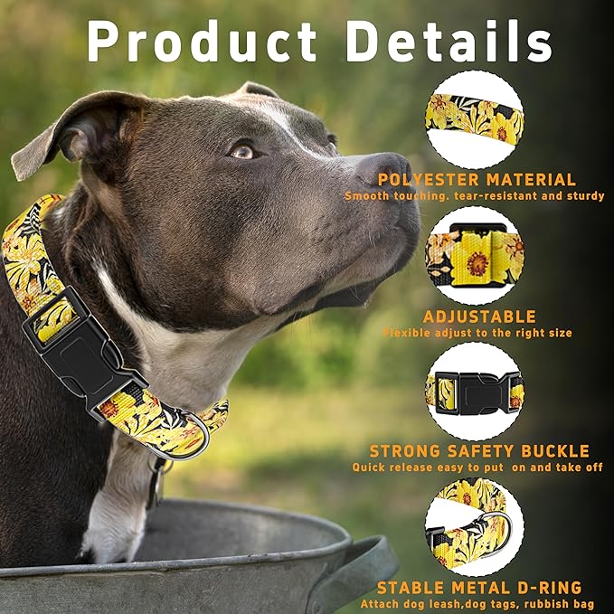 Dog Collar for Boys Girls, Puppy Collar for Small Medium Large Dogs, Adjustable - Image 2