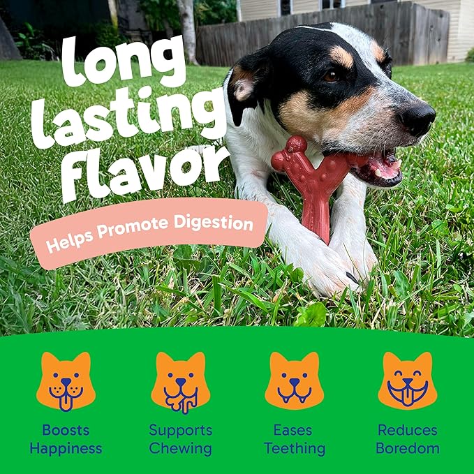 Chew'ems Durable Chew Toys for Small Dogs | Long-Lasting & Flavorful Chew Dog - Image 4