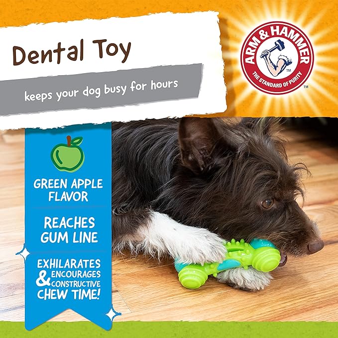 ARM & HAMMER for Pets Nubbies Duality Bone Dental Dog Toy- Best Dog Chew Toy - Image 3