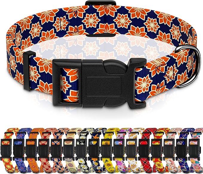 Dog Collar, Classical Indian Spirit Boys Girls Puppy Collar by Seyezo