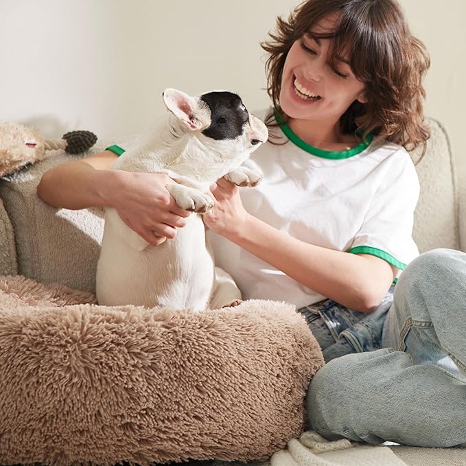 Bedsure Calming Dog Beds Large Sized Dog - Image 7