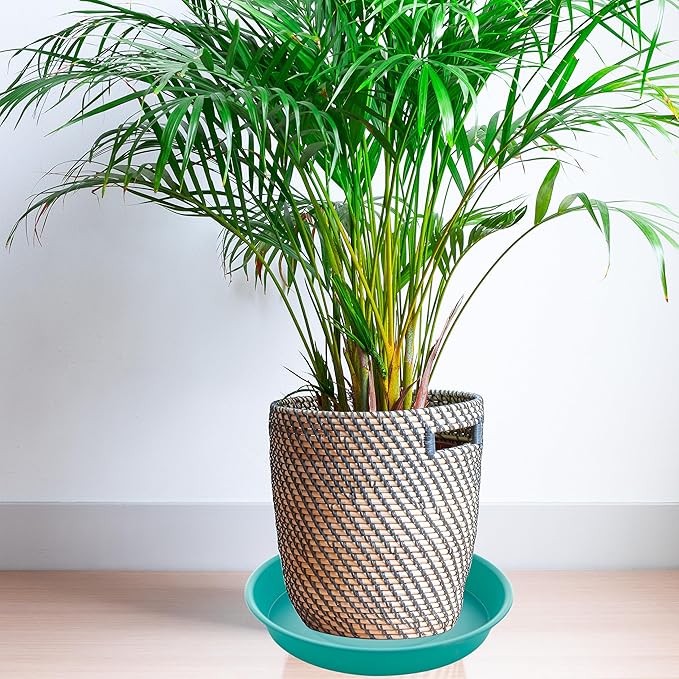 6 Pack of 10 inch Plant Saucer Blue, Heavy Duty Plastic Plant Saucer 10 inch - Image 7
