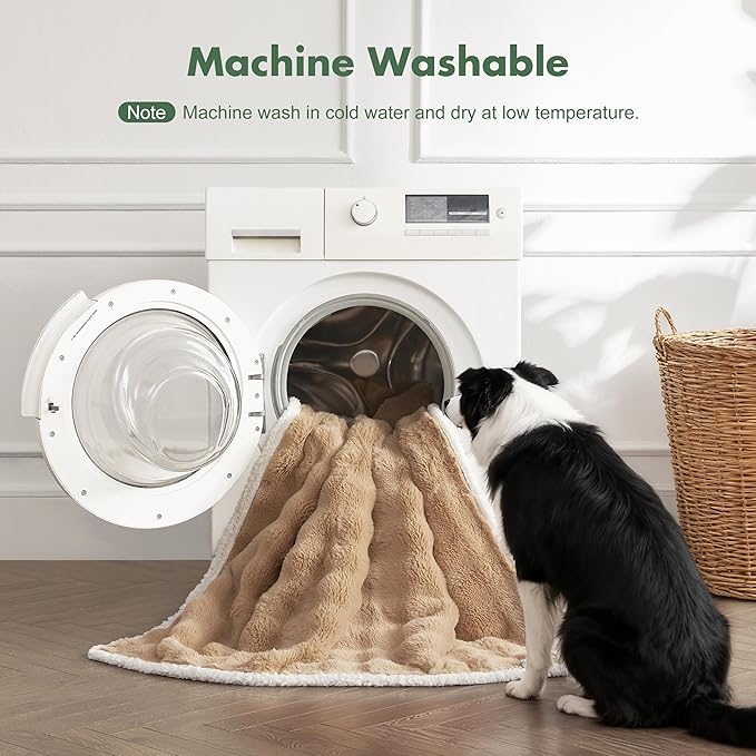 Soft Cozy Waterproof Dog Blanket - Image 6