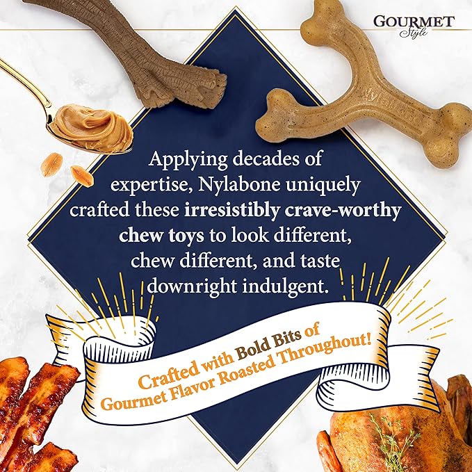 Nylabone Gourmet Style Stick Strong Chew Toy - Image 12