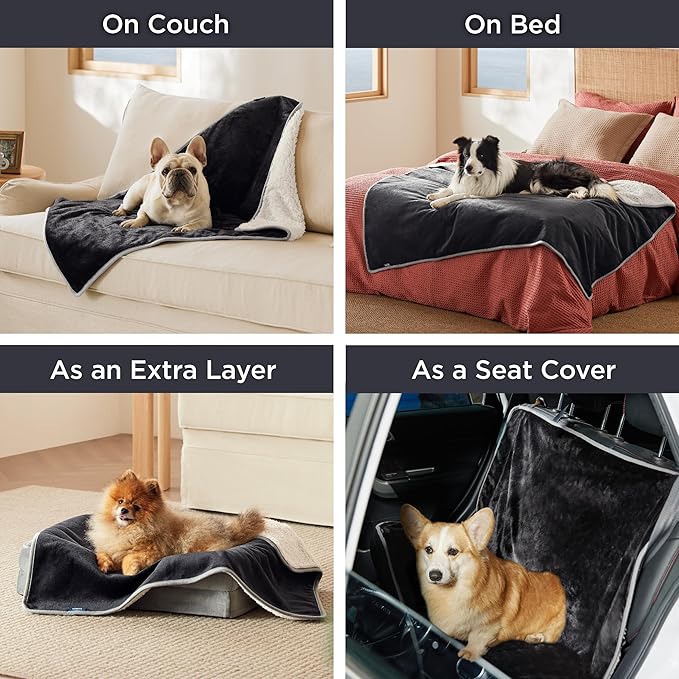 Bedsure Cat Blanket for Indoor Cats - Image 4