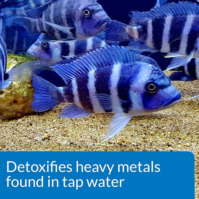 API ACCU-CLEAR Freshwater Aquarium Water Clarifier and API TAP WATER - Image 7