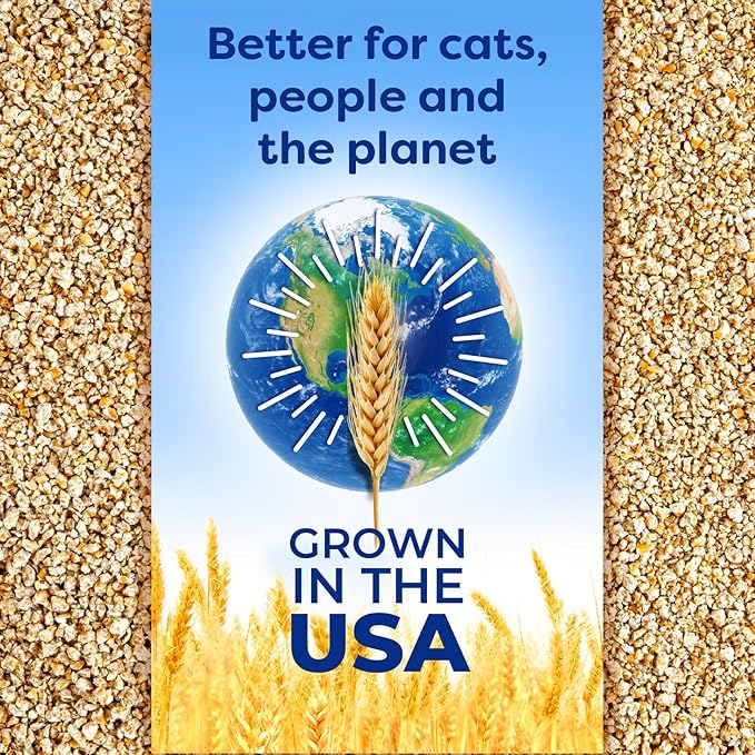 sWheat Scoop Natural Wheat Cat Litter, Fast Clumping - Image 8