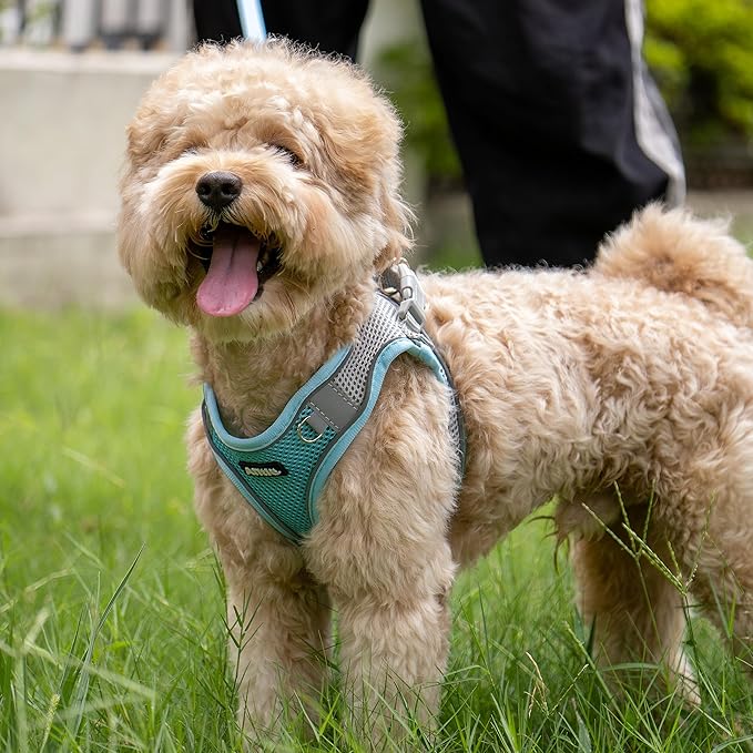 AIITLE Dog Harness, No-Pull Cat Harness - Image 6