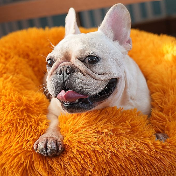 Calming Donut Dogs Beds for Small Dogs Washable, 23inch Plush Round Pet Bed for - Image 6